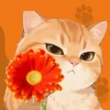 Кошки 9 😺💞🇵🇪 20