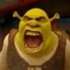 Shrek GIFs 14