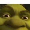 Shrek GIFs 5