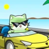GATITOS HERMOSOS 21