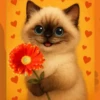 Кошки 9 😺💞🇵🇪 24