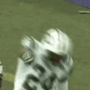 New York jets Mov 25