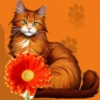 Кошки 9 😺💞🇵🇪 25