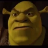 Shrek GIFs 7