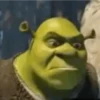 Shrek GIFs 10