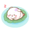 Cute Bunny 50 👩🏻‍🎨 Mov.1712 22