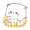 ♡🐈 CoUpLe Of KiTtEnS 🐈♡ 19