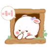 Cute Bunny 50 👩🏻‍🎨 Mov.1712 24