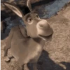 Shrek GIFs 23