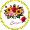 Elisa