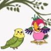 Lorito🦜💞1🇵🇪Movi 29