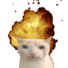 Cats meme GIF 24