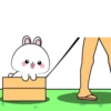 Vanilla Rabbit 6 MOV. 23