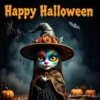 Happy Halloween Mariposita