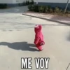 ME VOY