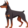 cute dogs 5
