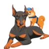 cute dogs 6
