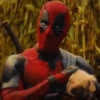 🐕 Dogpool ⚔ Deadpool ⚔ Wolverine 11