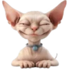 Gato egipcio💞1🇵🇪Movi 7