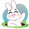 Bunny mov 6