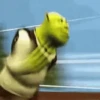 Shrek BuGaDo 8