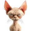 Gato egipcio💞1🇵🇪Movi 9