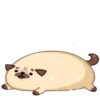 Perro💞Rellenito de amor🇵🇪Mo 6
