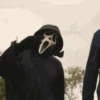 Variado Halloween 7