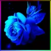 Her.Flores 2  👩🏻‍🎨 Mov.1712 5