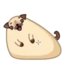 Perro💞Rellenito de amor🇵🇪Mo 11