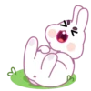 Bunny mov 13