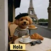 Hola