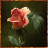 Her.Flores 2  👩🏻‍🎨 Mov.1712 8
