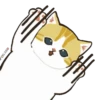 😻 gatitos cuteness 🐈 5