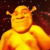 Shrek BuGaDo 10