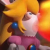 Rabbids 2 💖MOV 9