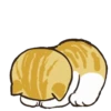 😻 gatitos cuteness 🐈 9