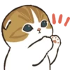 😻 gatitos cuteness 🐈 7