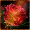 Her.Flores 2  👩🏻‍🎨 Mov.1712 11