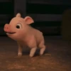 puerquito🐷🐖 7