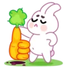 Bunny mov 14