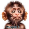 Porqué?