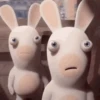 Rabbids 1 💖MOV 12