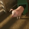 puerquito🐷🐖 8