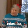 PROMISE!