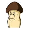 Mushroom Family 13