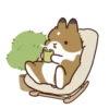 Tiernos animales💞1🇵🇪Movi 14
