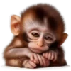 Monitos🐒💞2🇵🇪Movi 15