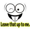 Move FACE Sticker 11