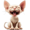 Gato egipcio💞1🇵🇪Movi 17